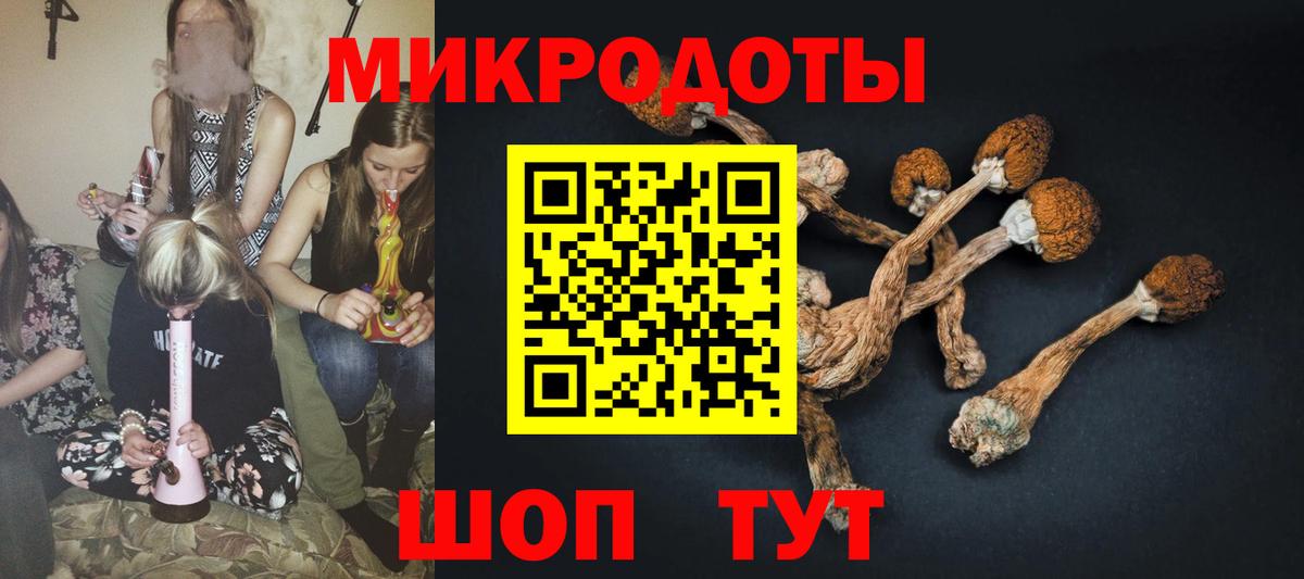 Фурманов  Псилоцибиновые грибы MAGIC MUSHROOMS  Вход с VPN 